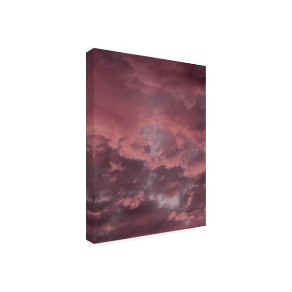 Design Fabrikken 'Pink Sky Fabrikken' Canvas Art,35x47